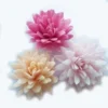Astry (5,5 cm) – farebný mix